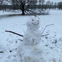 SENDCO (@mrs_sendco) 's Twitter Profile