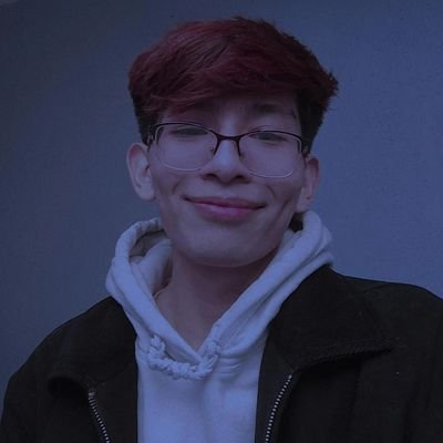 reiinharrrd's profile picture. Software Developer → Future Software Architect 🚀