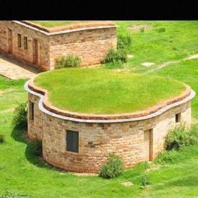 AtakltiG12's profile picture. Tigray well prevail