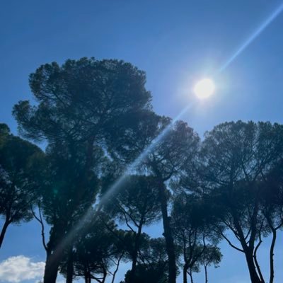 MatildeAcrn's profile picture. 