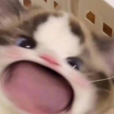 meOchibu's profile picture. 💬 bu̼siness! 🐈🧶 ねこ *miaw* 𖦹 𓊔 cutie-furr with whiskers asking milk 🥛🐱 in return of layouts 😼💌༘ khusus jualan template layout @meOchibites 🎢