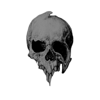 ｡⌖ °‧ 𝐒𝐏𝐄𝐈𝐑𝐒 . 𝐄 .ᐟ (@carnvfex) 's Twitter Profile Photo