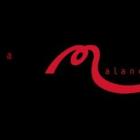 Sala Malandar (@salamalandar) 's Twitter Profile