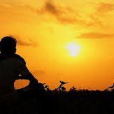 Dermen45's profile picture. Manisalı