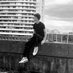 Yanis 🐡 (@yanis_hm7) Twitter profile photo Yanis 🐡 (@yanis_hm7) Twitter profile photo