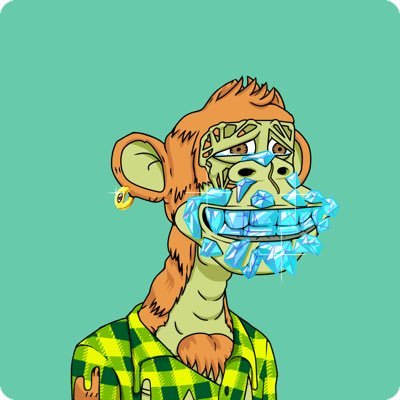rektpap↑.eth Profile