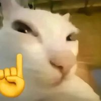 Qn (@3686124633qn) 's Twitter Profile Photo