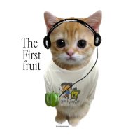 꽃길만 걷자 (.◜◡◝) #THEFIRSTFRUIT (@jenosfirstlove) 's Twitter Profile