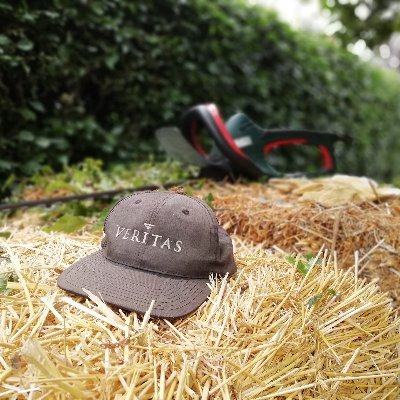 tadeboer's profile picture. "Doet iets met computers" | Love @mmmmillyscakes 🎂, Ghanaian Jollof 🇬🇭 and "Mrs. Wagner's Pies" 😉 | https://t.co/mDSXm95qWd