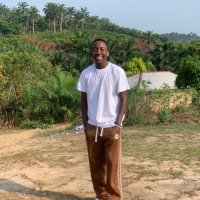 Ballyfied (@_officialdotman) 's Twitter Profile