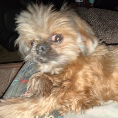 gacker123's profile picture. Retired mineral processing engineer. Traveled abroad throughout my career. After “studying” French for 25 years I still can’t speak a word of it.