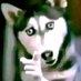better_trophy (@better_trophy) Twitter profile photo better_trophy (@better_trophy) Twitter profile photo