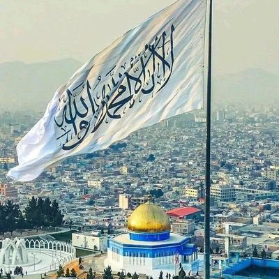 Amer43289108's profile picture. 