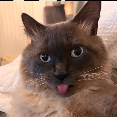 VKamloops22247's profile picture. 