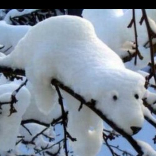 hyunhoon_choi's profile picture. 평범한직장인/이제는 이 나라 주인 우리 아이들에게 알려주고 싶습니다.