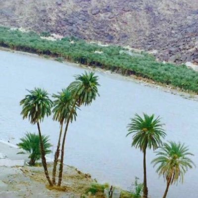 bwfhd297800's profile picture. 