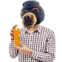 SKI MASK water bottle ⛷️🐶 (@waterbottle174) 's Twitter Profile Photo SKI MASK water bottle ⛷️🐶 (@waterbottle174) 's Twitter Profile Photo