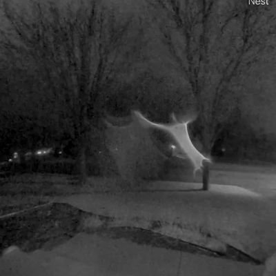 philandkids's profile picture. 