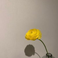YUI :: fammｽｸｰﾙ 4月期 Webﾃﾞｻﾞｲﾝ (@_yuimuni) Twitter profile photo