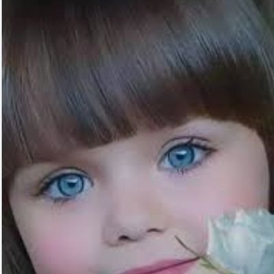 SeeMohammd53397's profile picture. 