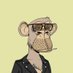 Ape With a Laptop (@apewithalaptop) Twitter profile photo Ape With a Laptop (@apewithalaptop) Twitter profile photo