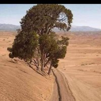 Abdel (@zyzmmd25505393) Twitter profile photo