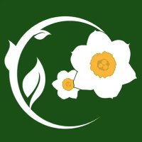 narkissos men's spa (@narkissosspa) 's Twitter Profile