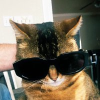 epoh (@hopebbby) 's Twitter Profile