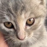 maxie (@maxieees) 's Twitter Profile