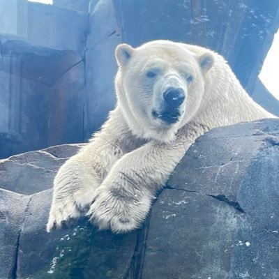 robbyfromtheloo's profile picture. 