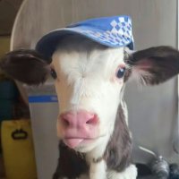 Saaraaa.77 (Wayne's & Hudson's wife) (@saaraaaaaaaaa_) 's Twitter Profile Photo
