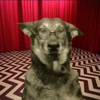 Abbey / γɘddA (@burnishedabbey) 's Twitter Profile Photo