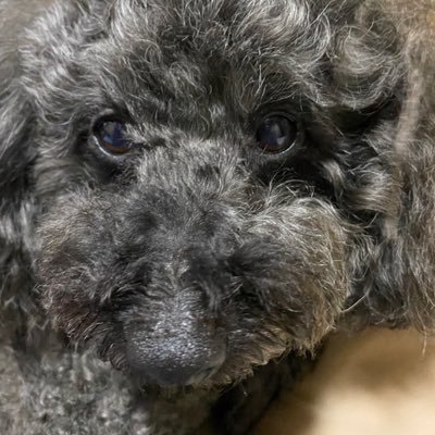 JJCC1EXmlJ35296's profile picture. 宜しく