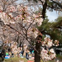 こころ (@alto0402) 's Twitter Profile