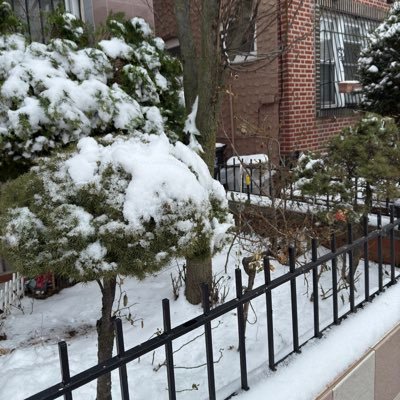 geewonniee19's profile picture. soowon is real