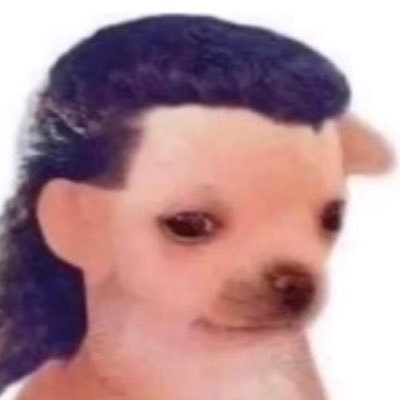 @vfcsal