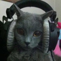 ⏾ (@huecoplanet) 's Twitter Profile Photo ⏾ (@huecoplanet) 's Twitter Profile Photo