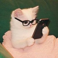 jenna whitman (@whitmanjenna538) 's Twitter Profile