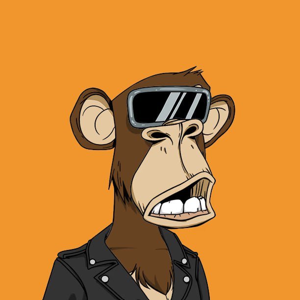 1chaminaiinveee's profile picture. Swing Trader and Long-term Investor since Feb 2017, NFT Investor, Web3 Defi App, Crypto Holder #BTC #ETH