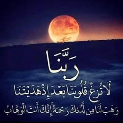 ymny297587's profile picture. 