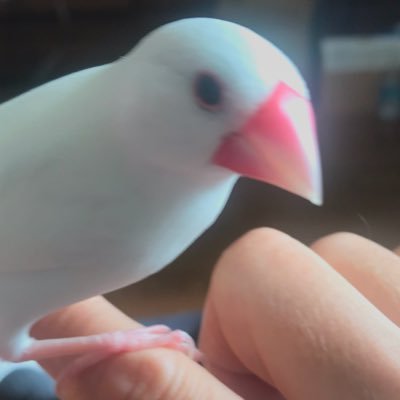 FUJI_19881030's profile picture. 神様の愛を多くの人に届けたい ！多くの人の喜ぶ姿を見たい！と思いながら日々過ごしています♪大自然の美に触れるのが好きです。