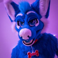 Blue Sex Dog ๐ FWA, CFZ (@friskymurmur) 's Twitter Profile Photo Blue Sex Dog ๐ FWA, CFZ (@friskymurmur) 's Twitter Profile Photo