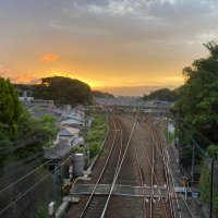 カレー粉 (@curry_main) 's Twitter Profile Photo カレー粉 (@curry_main) 's Twitter Profile Photo