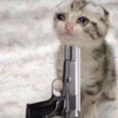 tinxidynsh62451's profile picture. 无