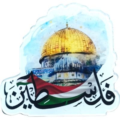 تونسي 🇹🇳 لكن دمي فلسطيني 🇵🇸
ضد الصهيونية عدوة البشرية
Islam is perfect, Muslims are not. If I make mistake, blame me, but not my religion.
