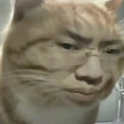 ldlegend2333's profile picture. 无无无