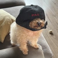 gmgncrypto (@gmgncrypto) Twitter profile photo