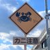 🦀🍚 (@kani_nemu0315) Twitter profile photo 🦀🍚 (@kani_nemu0315) Twitter profile photo