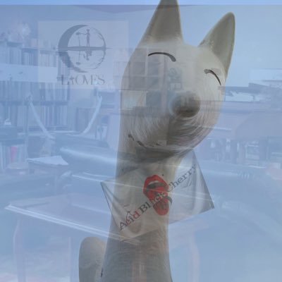 rakuralice's profile picture. 日々面白く生きることを目標にしてる。ライブ、旅行、家庭菜園、梅仕事等好きなことを雑多に呟くかも。 空の上にも3人。在宅ビジネス一切興味ありません。わけわからんのは即ブロックします。 それ以外の無言フォロー歓迎❤️下のURLはそのうち買うかもメモw