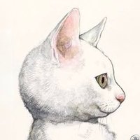 moco (@mmocommocommoco) 's Twitter Profile